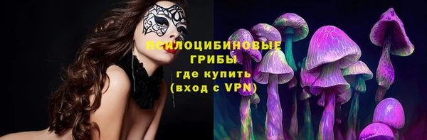 ПСИЛОЦИБИНОВЫЕ ГРИБЫ Алексеевка