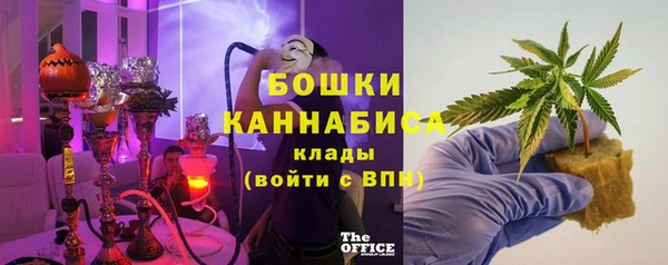 ПСИЛОЦИБИНОВЫЕ ГРИБЫ Алексеевка