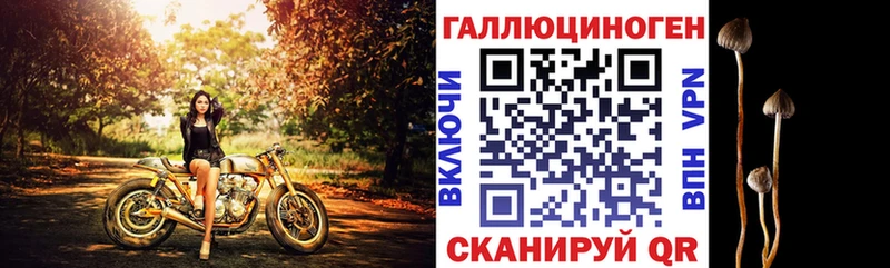 Псилоцибиновые грибы мицелий  Всеволожск 